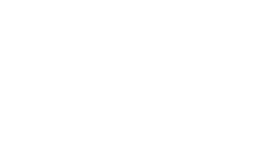 TEMPO Development